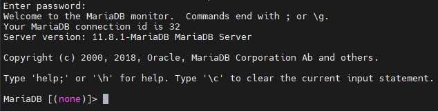 Guía Completa para Asegurar tu Instalación de MariaDB en Linux 2